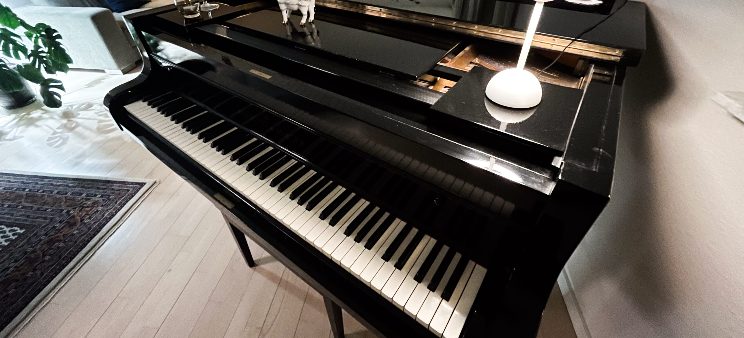 Flygel & Akustisk Musik (Stueetage)